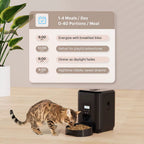 Comedero Automático Inteligente para Mascotas